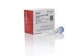 Lipofectamine? 2000 Transfection Reagent