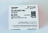 10 mM dNTP Mix